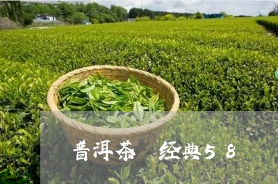 普洱茶 经典58/2023041060373